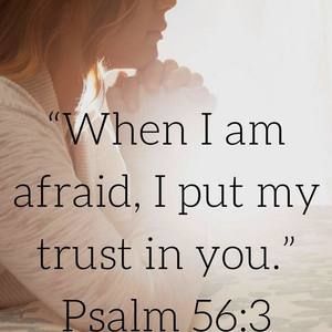 Meet your Posher, Meme